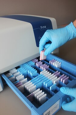 Dreampath&nbsp;FINA Software with Installation