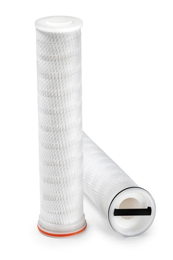 Thermo Scientific&nbsp;High Flow Series Retrofit Filter Cartridge