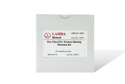 LAMDA BIOTECH INC ECL Western Blotting Detection Kit