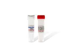 LAMDA BIOTECH INC 5X All-in-One RT Plus MasterMix, Quantity: Each of 1