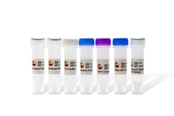LAMDA BIOTECH INC EasyScript Plus™ cDNA Synthesis Kit