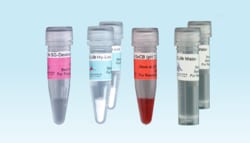 ILEX LIFE SCIENCES LLC Cellendes 3-D Life Dextran-HA Hydrogel Ready-To-Design