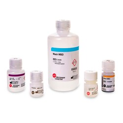 Beckman Coulter&nbsp;AGENCOURT RNADVANCE CELL KT LG