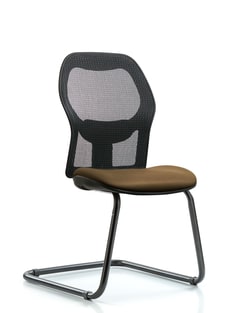 Fisherbrand Executive Windrowe Mesh Back Guest Chair with Grade A Seat Taupe | Buy Online | Fisher Scientific