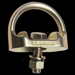 Werner Co. Steel D-Bolt Anchor with Separate Bolt