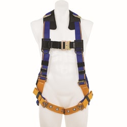 Werner Co. Blue Armor Retrieval Harness with Back and Shoulder D-Rings