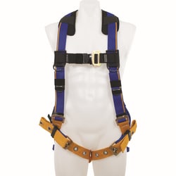 Werner Co. Blue Armor Standard Harness with Back D-Ring