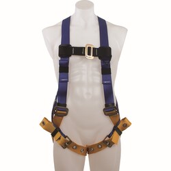 Werner Co. BaseWear Universal Standard Harness with Back D-Ring:Personal