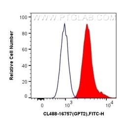 GPT2 Rabbit, anti-Human, CoraLite Plus 488, Polyclonal, Proteintech:Antibodies:Primary