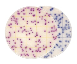 GVS Microbial Count Plate