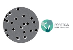 GVS&nbsp;Polyester Track Etched (PETE) Membrane