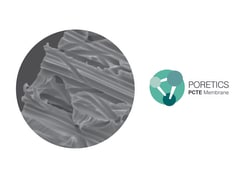 GVS Polycarbonate Track Etched (PCTE) Membrane, Hydrophilic, Disc, 5 μm