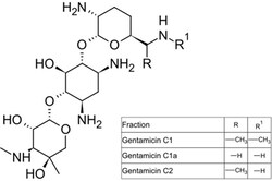 TOKU-E Gentamicin ReadyMade Solution 10 x 1 mL | Buy Online | TOKU-E&trade; | Fisher Scientific