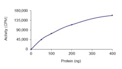 Sino Biological&nbsp;Recombinant Human HIPK3 Protein (His Tag), Active