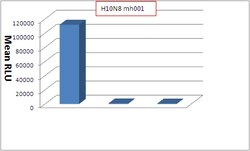 Sino Biological Influenza A H10N8 Hemagglutinin / HA Neutralizing Antibody