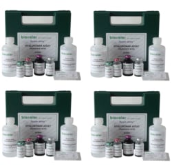 ILEX LIFE SCIENCES LLC Biocolor Purple-Jelley Hyaluronan Assay, Large Economy