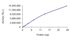 Sino Biological&nbsp;Recombinant Human HDAC1 Protein (Full Length, GST Tag), Active