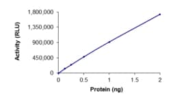 Sino Biological&nbsp;Recombinant Human HDAC3 & NCOR2 Protein (Full Length, GST & GST Tag), Active