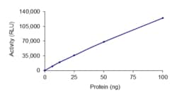 Sino Biological&nbsp;Recombinant Mouse HDAC5 Protein (GST Tag), Active