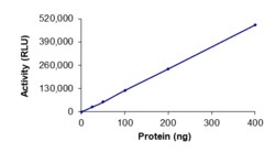 Sino Biological&nbsp;Recombinant Human HDAC7 Protein (GST Tag), Active