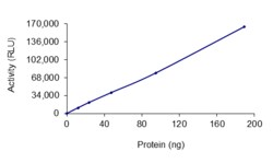 Sino Biological&nbsp;Recombinant Human HDAC11 Protein (Full Length, GST Tag), Active