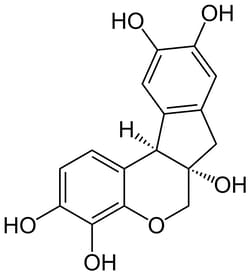 Electron Microscopy Sciences&nbsp;Hematoxylin 5% in SD Alcohol 500 ML