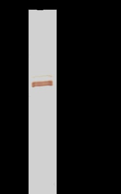 Sino Biological PTPN2 / TC-PTP Antibody, Rabbit PAb, Antigen Affinity Purified