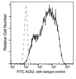 Sino Biological Anti-ACE2 Antibody (FITC), Mouse Monoclonal, Quantity:
