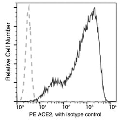 Sino Biological ACE2 Antibody (PE), Mouse MAb 25Tests, Quantity: Each of