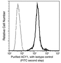 Sino Biological ACY1 / Aminoacylase-1 Antibody, Rabbit MAb 100µL, Quantity: