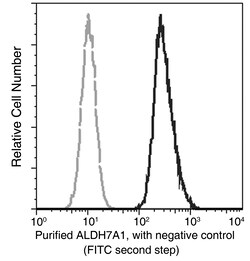 Sino Biological ALDH7A1 Antibody, Rabbit MAb 100µL, Quantity: Each of 1