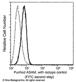 Sino Biological ASAM / CLMP Antibody, Mouse MAb 100uL, Quantity: Each of
