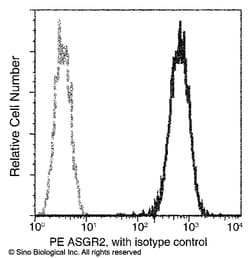 Sino Biological ASGR2 / ASGPR2 Antibody (PE), Rabbit MAb 25Tests, Quantity: