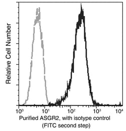 Sino Biological ASGR2 / ASGPR2 Antibody, Rabbit MAb 100µL, Quantity: Each
