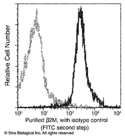 Sino Biological B2M / beta-2 microglobulin Antibody, Mouse MAb 100uL, Quantity: