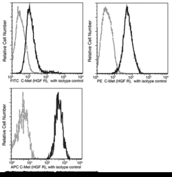 Sino Biological c-MET / HGFR Antibody (APC), Rabbit MAb 25Tests, Quantity: