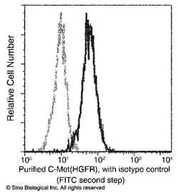 Sino Biological c-Met / HGFR Antibody, Rabbit MAb 100uL, Quantity: Each