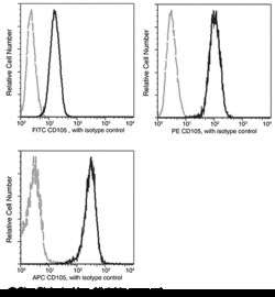 Sino Biological Anti-Endoglin/CD105 Antibody (FITC), Mouse Monoclonal,