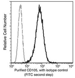 Sino Biological Recombinant Anti-Endoglin/CD105 Antibody, Rabbit Monoclonal,