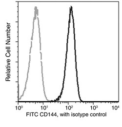Sino Biological VE-Cadherin / CD144 / CDH5 Antibody (FITC), Rabbit MAb