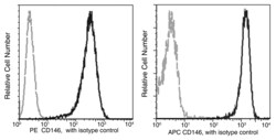 Sino Biological CD146 / MCAM Antibody (APC), Rabbit MAb 25Tests, Quantity: