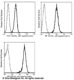 Sino Biological Anti-CD155/PVR Antibody (FITC), Mouse Monoclonal, Quantity:
