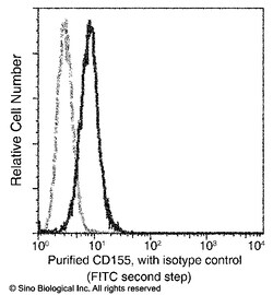 Sino Biological Anti-CD155/PVR Antibody, Mouse Monoclonal, Quantity: Each