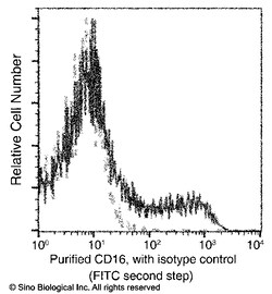 Sino Biological Anti-CD16/FCGR3/Fc gamma RIII Antibody, Mouse Monoclonal,