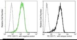 Sino Biological CD171 / N-CAML1 / L1CAM Antibody (FITC), Rabbit MAb 100Tests,