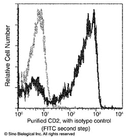 Sino Biological Recombinant Anti-CD2 Antibody, Rabbit Monoclonal, Quantity: