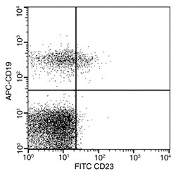 Sino Biological Anti-CD23 Antibody (FITC), Mouse Monoclonal, Quantity: