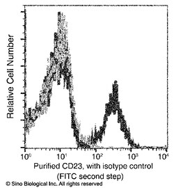 Sino Biological Anti-CD23 Antibody, Mouse Monoclonal, Quantity: Each of