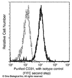 Sino Biological Anti-CD31/PECAM-1 Antibody, Mouse Monoclonal, Quantity: