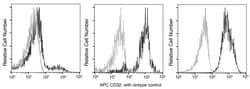 Sino Biological CD32/FCGR2/Fc gamma RII Antibody (APC), Mouse MAb, Quantity: